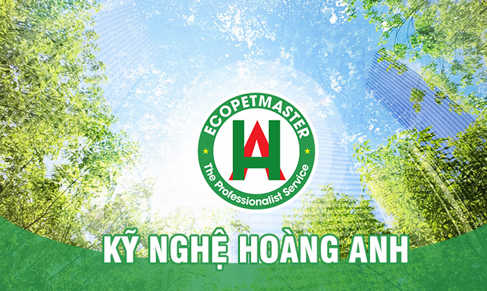 Tính Thành bàn giao khai trương website công ty Kỹ Nghệ Hoàng Anh