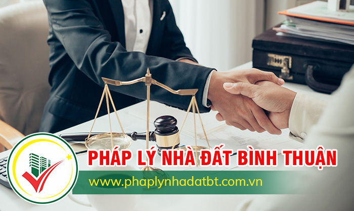 Tính Thành bàn giao khai trương website công ty Pháp Lý Nhà Đất BT