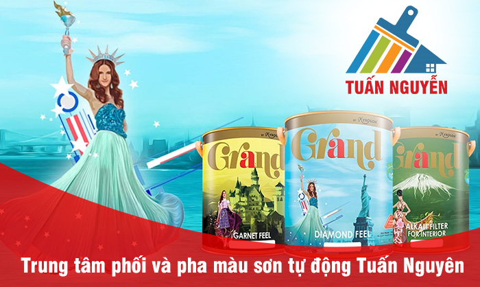 Tính Thành bàn giao khai trương website công ty Sơn Tuấn Nguyễn