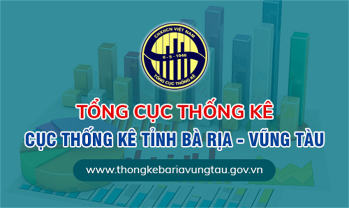 Tính Thành bàn giao khai trương website Cục thống kê Bà Rịa Vũng Tàu