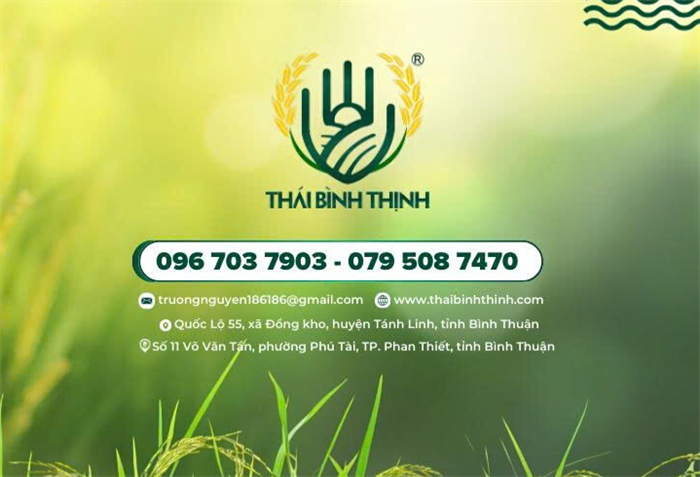 Tính Thành bàn giao khai trương Website Gạo Thái Bình Thịnh 