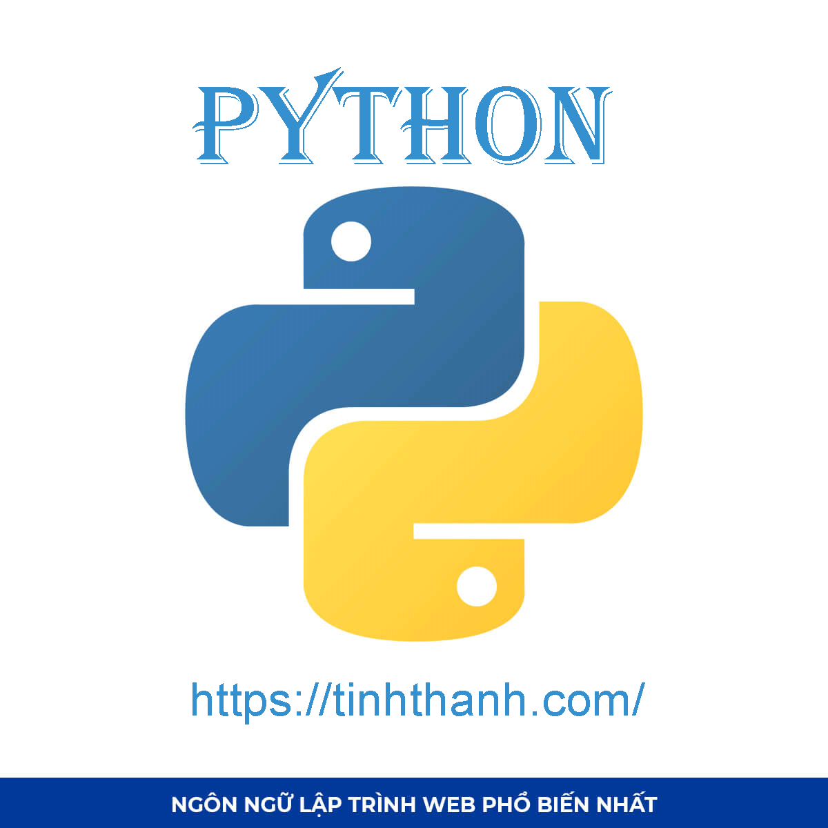 Ngôn ngữ lập trình Python.