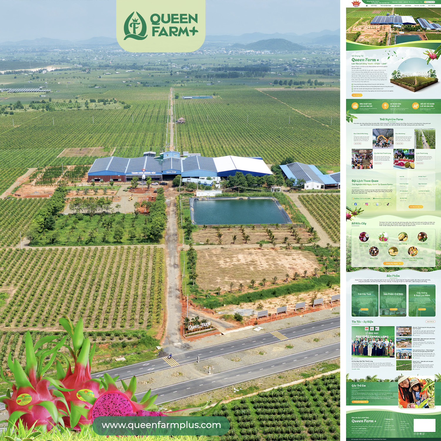 Thiết kế website Lâm Đồng